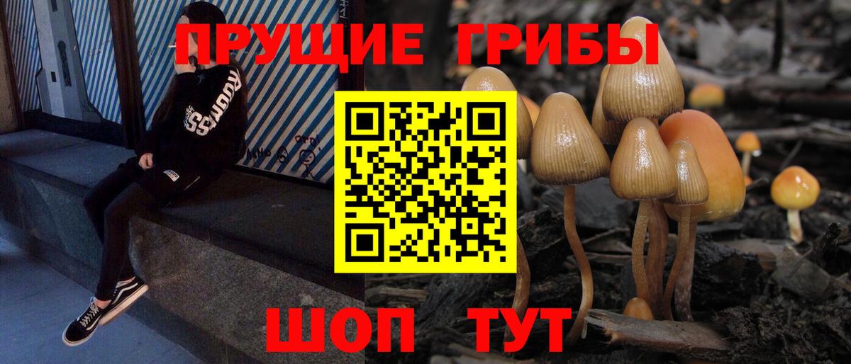 Чебоксары  Галлюциногенные грибы MAGIC MUSHROOMS  Вход с VPN  Галлюциногенные грибы Cubensis 