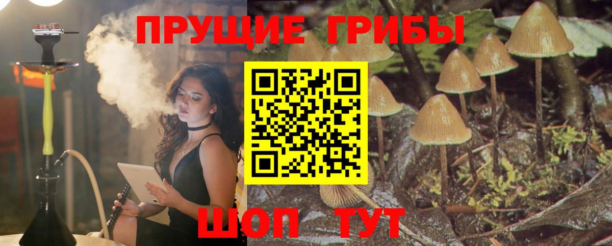 Галлюциногенные грибы Cubensis Чебоксары